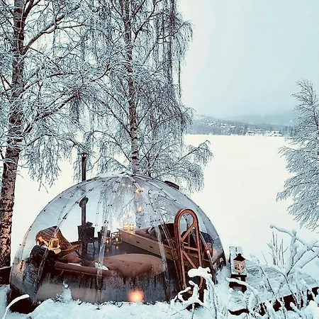 Glass Igloo With 360-degree Views In Krodsherad *